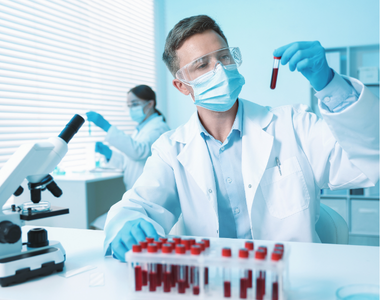 Image de la formation